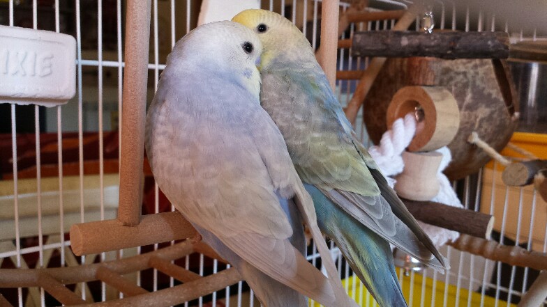 Vincent & Nadia