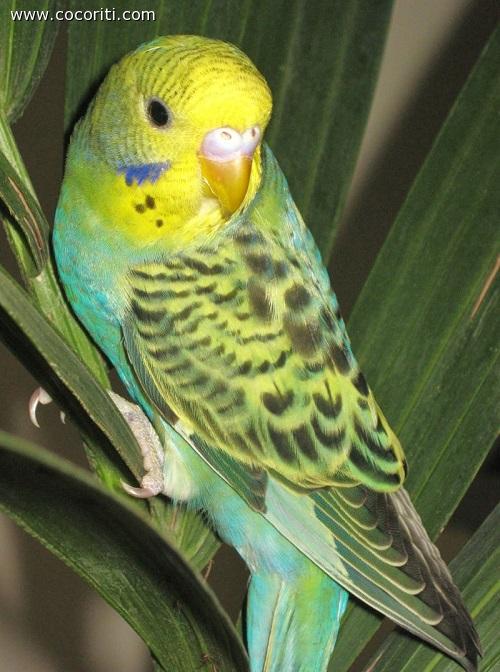 Ma non ho un colore stupendo?!