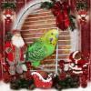 Buon Natale da Chicco !