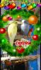 A natale siamo tutti più buoni...anche le coco femmine