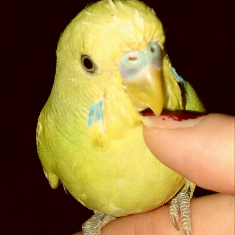 Robyâ¤ï¸RemÃ