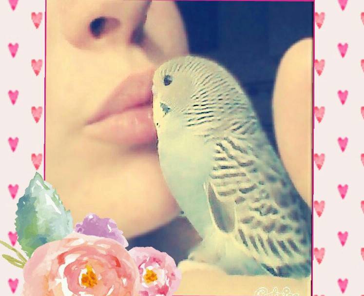 Cicca, la mia pagina