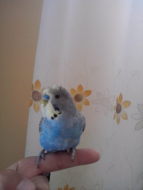ciaoo :)