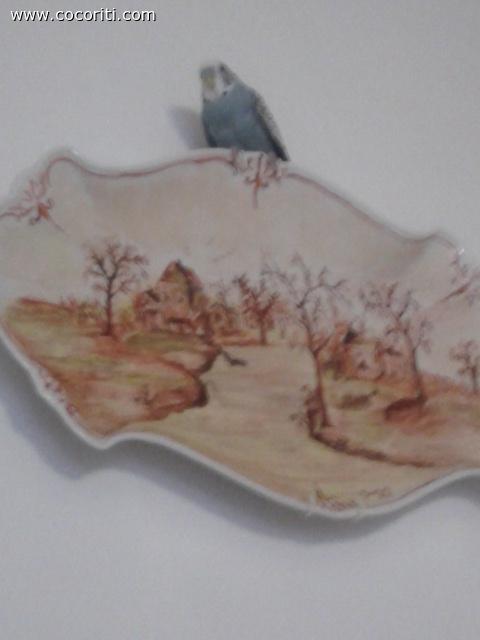 Pallino sul piatto