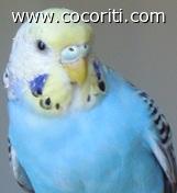 Clo...lo riconosci...o forse la riconosci...ahahahaha